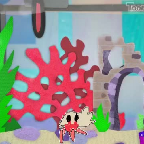 Why I Should Get A Hermit Crab