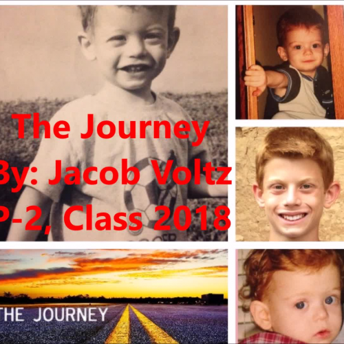 The Journey by Jacob Voltz