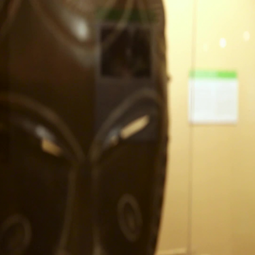 Emerald Abyss Museum Exhibit Video