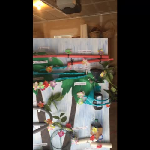 Emilyanne Rube Goldberg