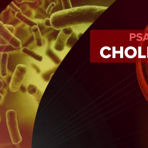 Cholera PSA Presentation