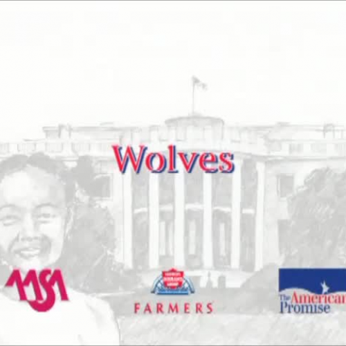 Wolves 