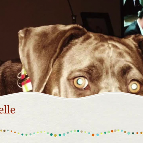 Personal Digital Story