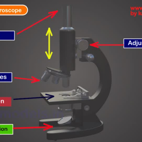 physics-Compound Microscope-pro
