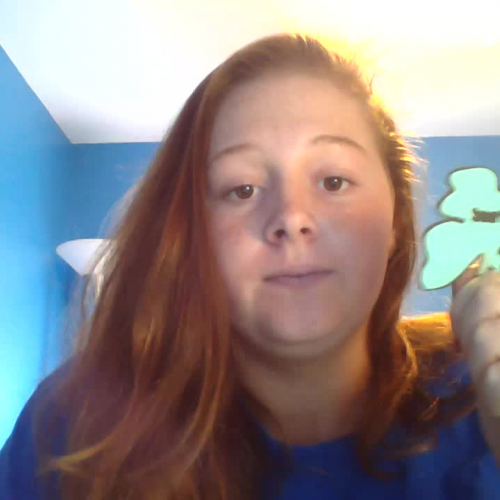 3.02 Describing The Family