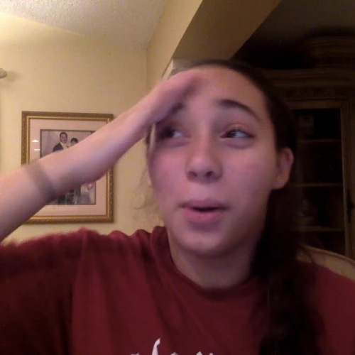 03.02 Describe the Family Visual Presentation