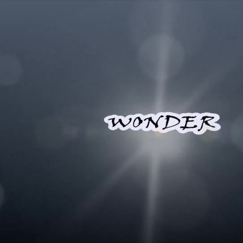 Wonder Movie Trailer