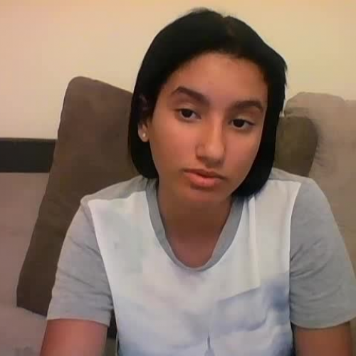 03.02 Describe the Family Visual Presentation