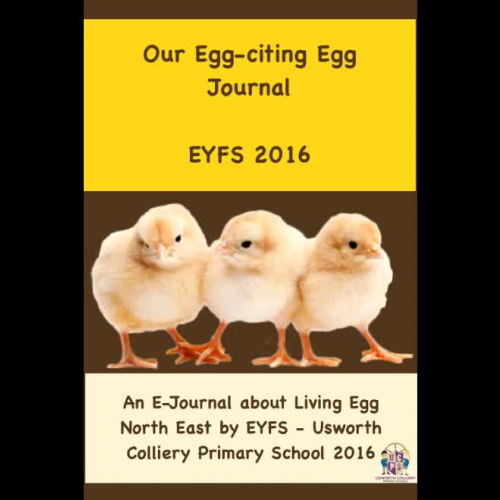 Reception's Chick Diary 2016