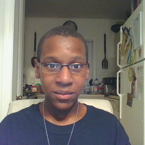 3.06 Descibe the Family Visual Presentation