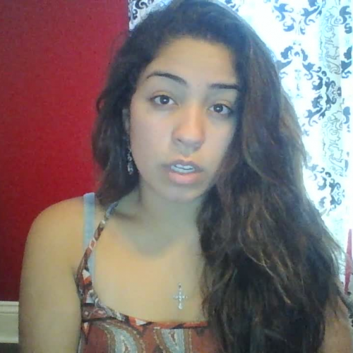 3.02 Describe The Family Visual Presentation