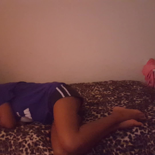 03.02 Describing the family visual presentation.