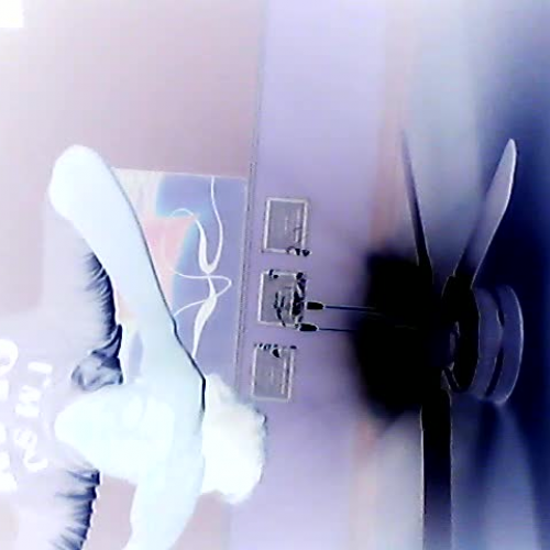 3.02 Describe the family