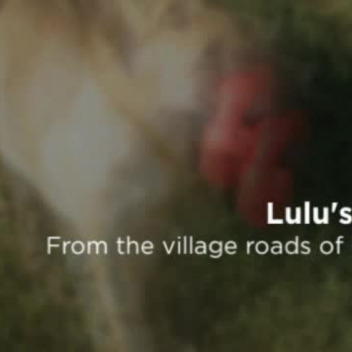 Lulu's Story:  From the book Happy Tails
