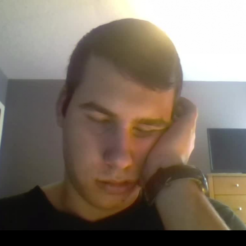 Spanish 1 - 3.02 Describe the Family Visual Presentation