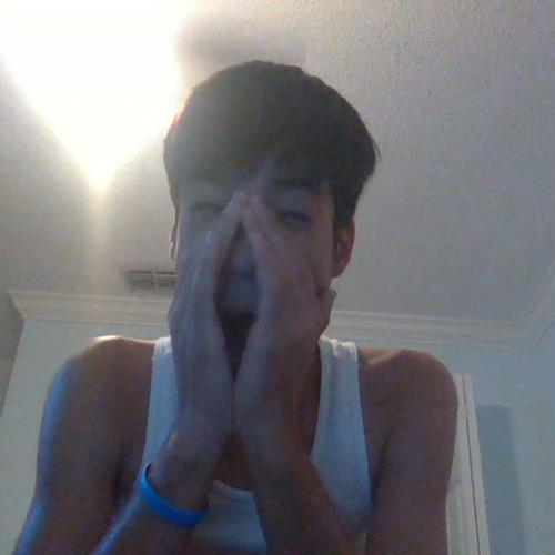  03.02 Describe the Family Visual Presentation