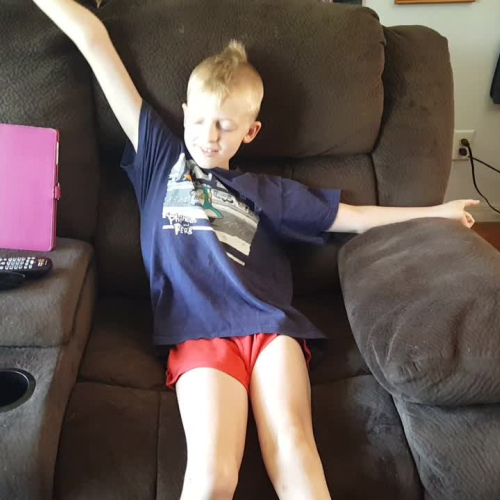 Describe the Family Visual Presentation - Spanish