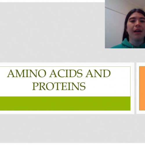 6. Amino Acids and Proteins