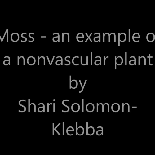 Moss - A Nonvascular Plant - ASL Solomon-Klebba