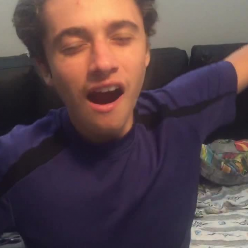 3.02 Describe the Family Visual Presentatio. Tengo sueño.