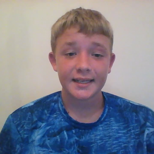 3.02 describing the family visual activity