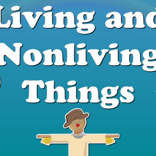 Living things & Non Living Things.
