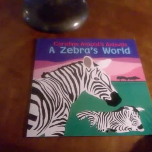 A Zebras World Lesson 13