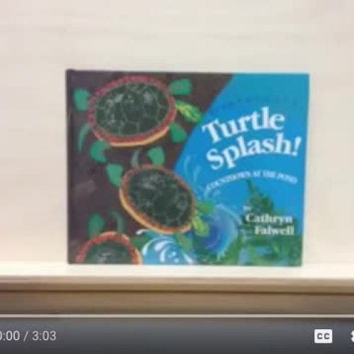 Turtle Splash Lesson 14