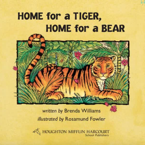 Home for Tiger, Home for Bear Lesson 14