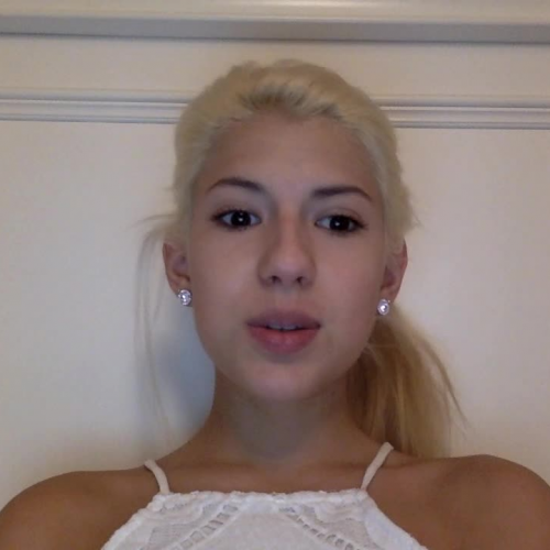 03.02 Describe the Family Visual Presentation