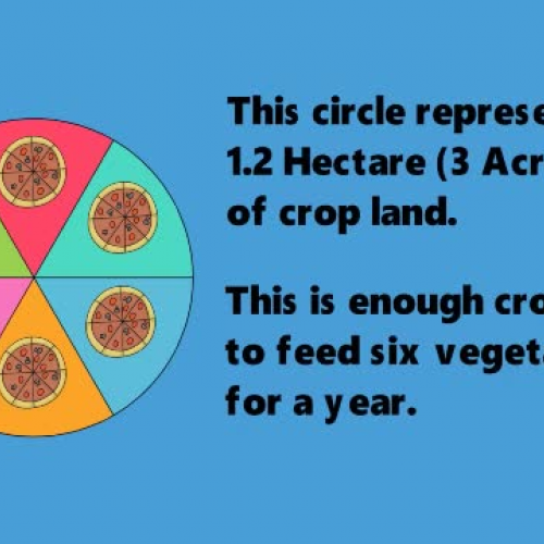 How Diet Effects Land Use - Longer Version with Sound