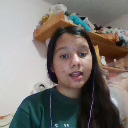 Spanish 3.02 Visual Presentation