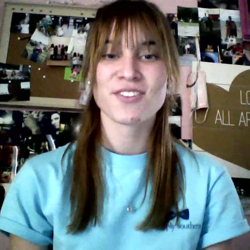 describing  the family visual presentation