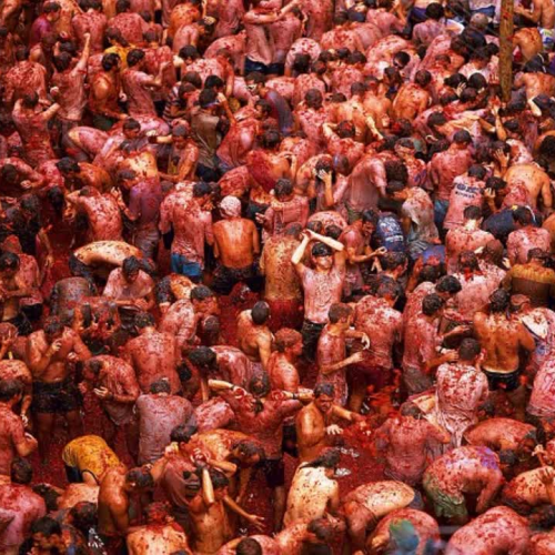 La Tomatina