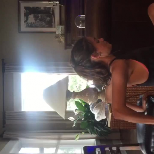 Tricep Dips (Modified)