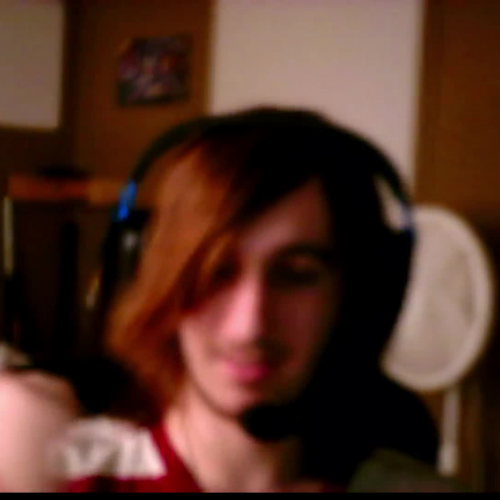 3.02 describing the family visual presentation