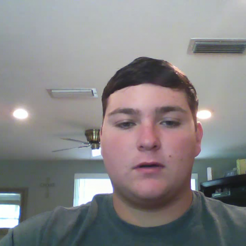 3.02 describing the family visual presentation 