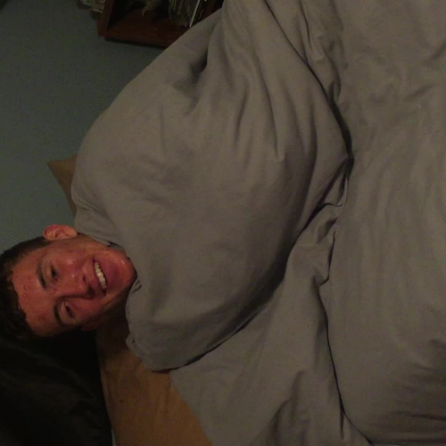 03_02_describe_the_family_visual_presentation