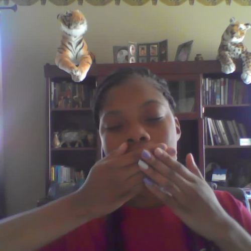 03.02 Describe The Family Visual Presentaion