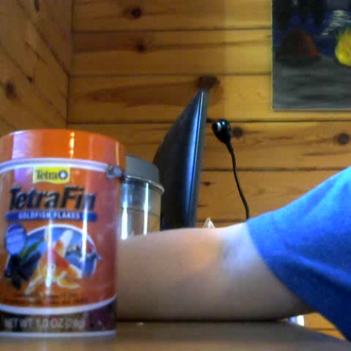 Guide  to stop motion 1 basics