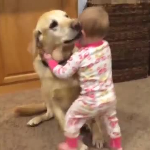 Cute and Funny Babies with Pets