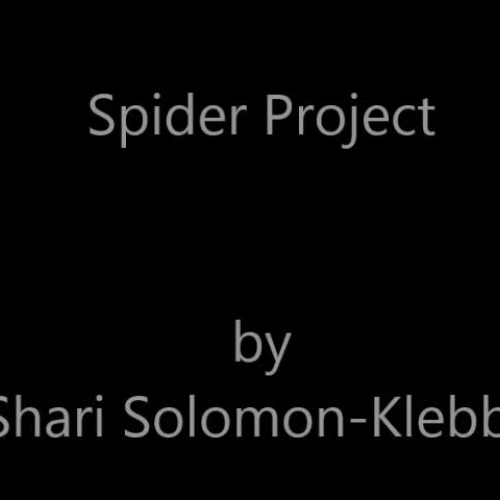 Spider Project