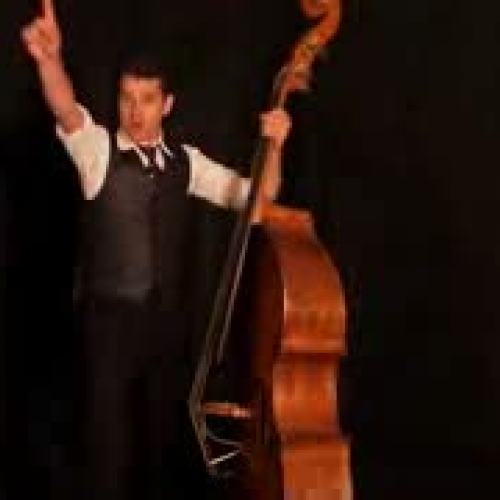 #26 Blues Jazz Double bass Performances by Stephane Barral