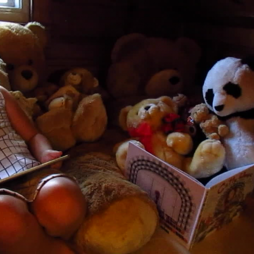 Reading  to Amanda the Panda