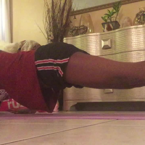 Assignment: 01.03 Fitness Assessment Video Submission 