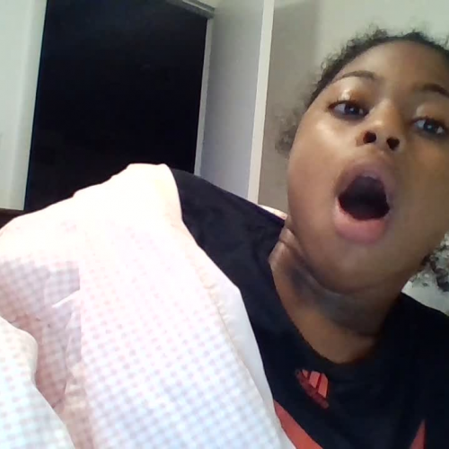 3.02 Describe The Family Visual Presentation