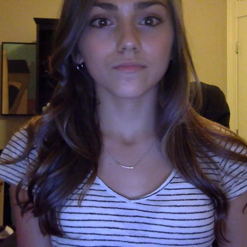 Describe The Family Visual Presentation.