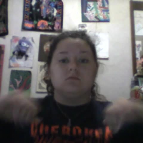 3.02 describing the family visual presentation