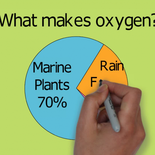 What makes the oxygen and how bad is ocean Acidification?