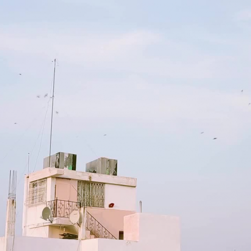 I Got Married When I Was 13